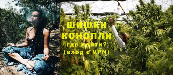 2c-b Белокуриха