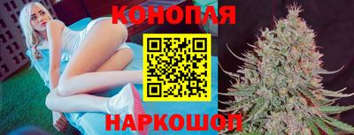 шишки Волжск