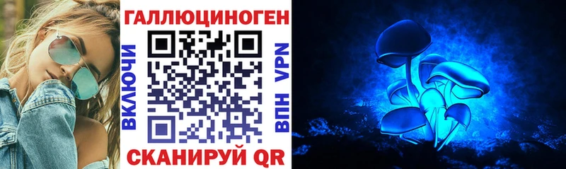 Галлюциногенные грибы мицелий  что такое наркотик  Гусев 