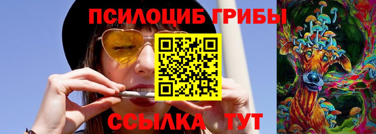 Галлюциногенные грибы мухоморы Гусев